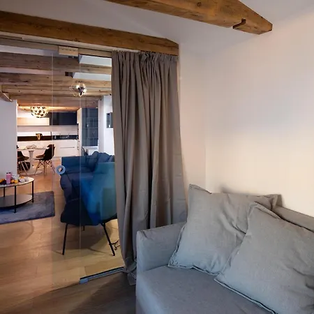 Merkela Loft Beside Vermanes Park 公寓 *