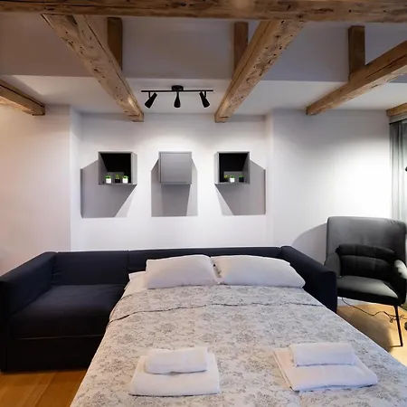Merkela Loft Beside Vermanes Park 公寓