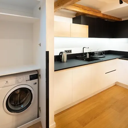 公寓 Merkela Loft Beside Vermanes Park