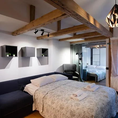Merkela Loft Beside Vermanes Park 公寓 *
