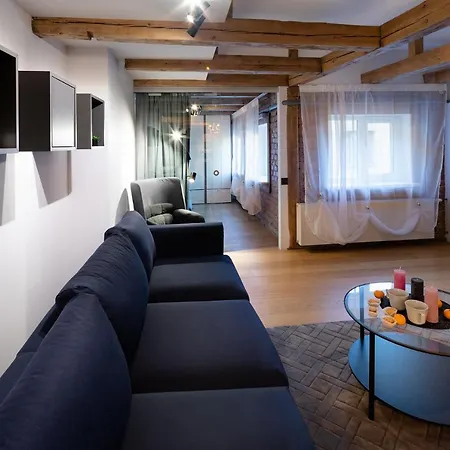 Merkela Loft Beside Vermanes Park * Riga