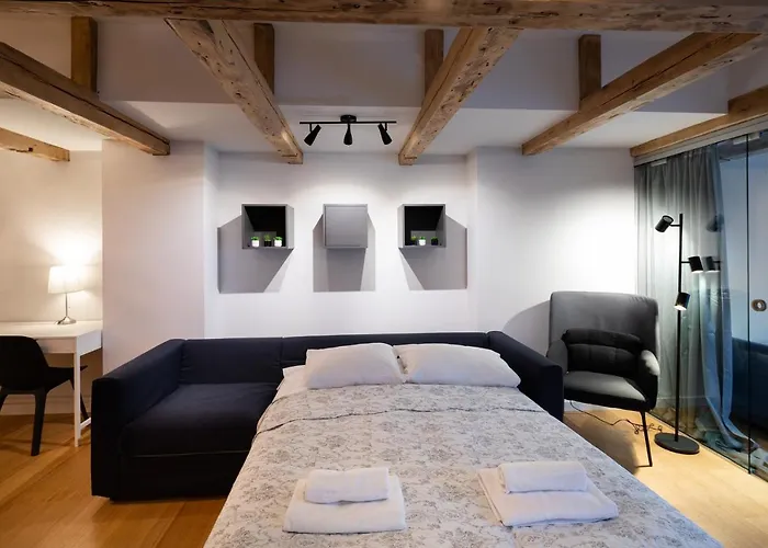 Merkela Loft Beside Vermanes Park Apartment