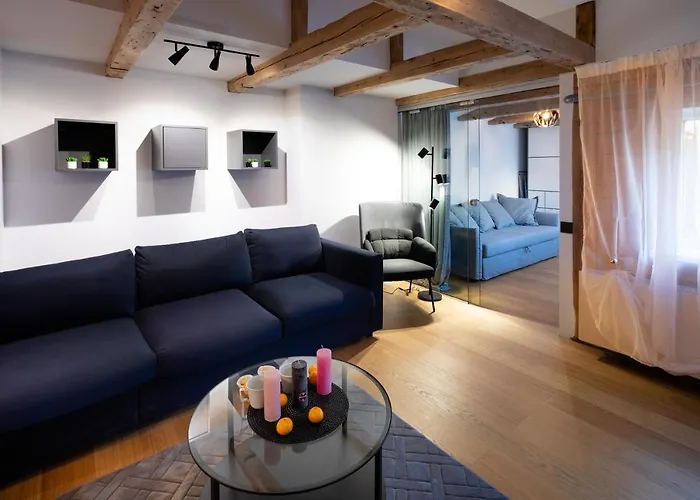 Merkela Loft Beside Vermanes Park * Riga