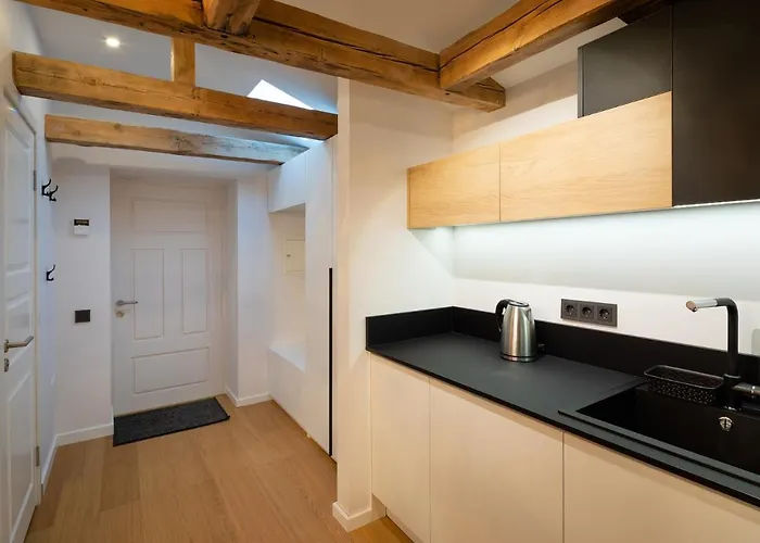 Appartement Merkela Loft Beside Vermanes Park *