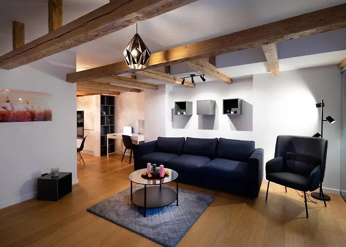 Merkela Loft Beside Vermanes Park Apartment *