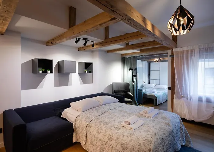 Merkela Loft Beside Vermanes Park Apartment *