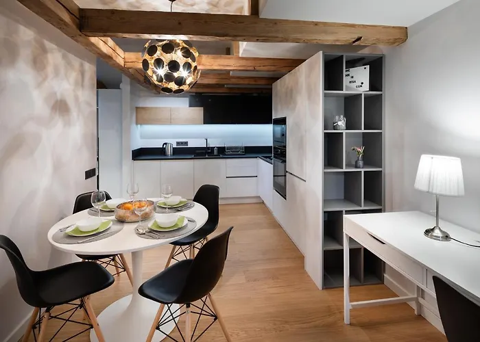 Merkela Loft Beside Vermanes Park Apartment