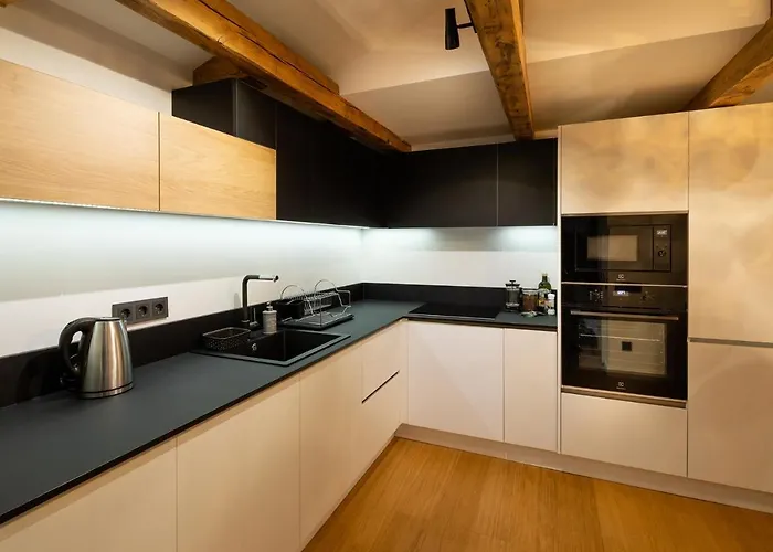 Merkela Loft Beside Vermanes Park * Riga