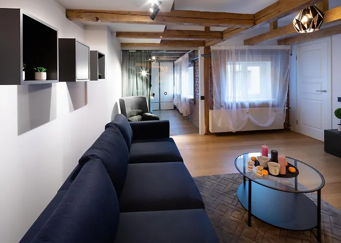 Merkela Loft Beside Vermanes Park * Riga