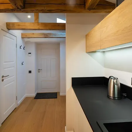 דירה Merkela Loft Beside Vermanes Park