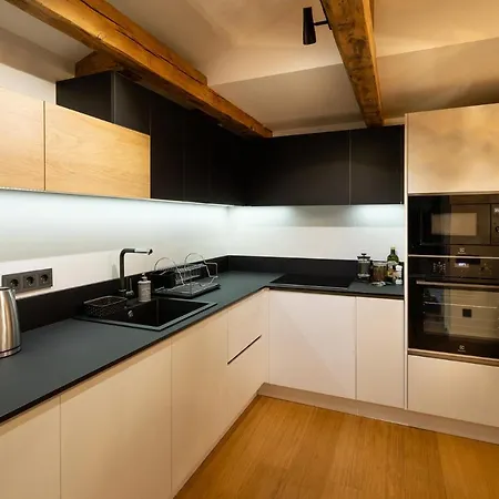 Merkela Loft Beside Vermanes Park * ריגה